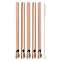 Axyaa 304 Stainless Steel Bubble Tea Straw Set with Straw Brush Spoon
