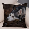 Axyaa Siberian Husky Pet Sofa Cushion Cover - Cute Dog Print Pillowcase Decor