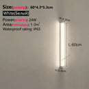 Axyaa LED Courtyard Wall Lamp | Waterproof Modern Minimalist Exterior Lighting