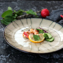 Axya Ceramic Sushi Plate Tray SetHomeController