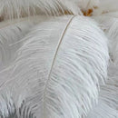 Axyaa Feather Floor Lamp Resin Art Lighting Modern Nordic Atmosphere Table Light