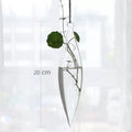 Axyaa Angel Glass Vase for Living Room Decor with Hanging Hydroponic Flowers
