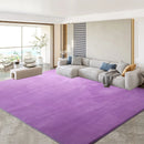 Axyaa Gray Coral Fleece Living Room Rug for Sofa, Coffee Table, Kids Bedroom