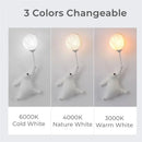 Axyaa White Bear 3D Moon Wall Light for Bedroom Decoration