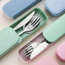 Axyaa Stainless Steel Cutlery Set with Storage Box: Fork, Spoon, Knife, Chopstick - 4pcs
