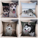Axyaa Siberian Husky Pet Sofa Cushion Cover - Cute Dog Print Pillowcase