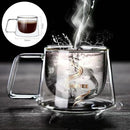 Axyaa Double Wall Glass Coffee Mug Tea Milk Juice Cup Thermo Insulated