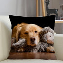 Axyaa Golden Retriever Dog Sofa Pillowcase for home decor