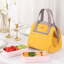 Axyaa Insulated Lunch Bag: Waterproof, Portable, and Convenient Lunch Box for Women's Picnic and Travel