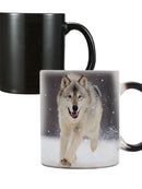 Axyaa King of Wolf Ceramic Color Changing Coffee Mug 350ml Animal Lover Gift