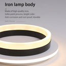 Axyaa Nordic LED Ceiling Lamp for Indoor Lighting in Various Spaces