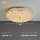 Axyaa Crystal LED Ceiling Light: Modern Luxury Dimmable Lamparas for Art Decor Home Lighting
