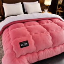 Axyaa Super Warm Lamb Wool Quilt - Winter Double-sided Velvet Blanket