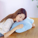 Axyaa Rainbow Seat Cushion Backrest for Office Chair and Student Dormitories