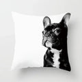 Axyaa Cute Animal Print Pillow Cover - 45X45cm
