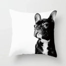 Axyaa Cute Animal Print Pillow Cover - 45X45cm