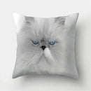 Cute Cat Print Cushion Cover for Sofa Decor by Axyaa