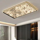 Axyaa Smart LED Ceiling Light for Home Bedroom Living Room Lighting Fixture