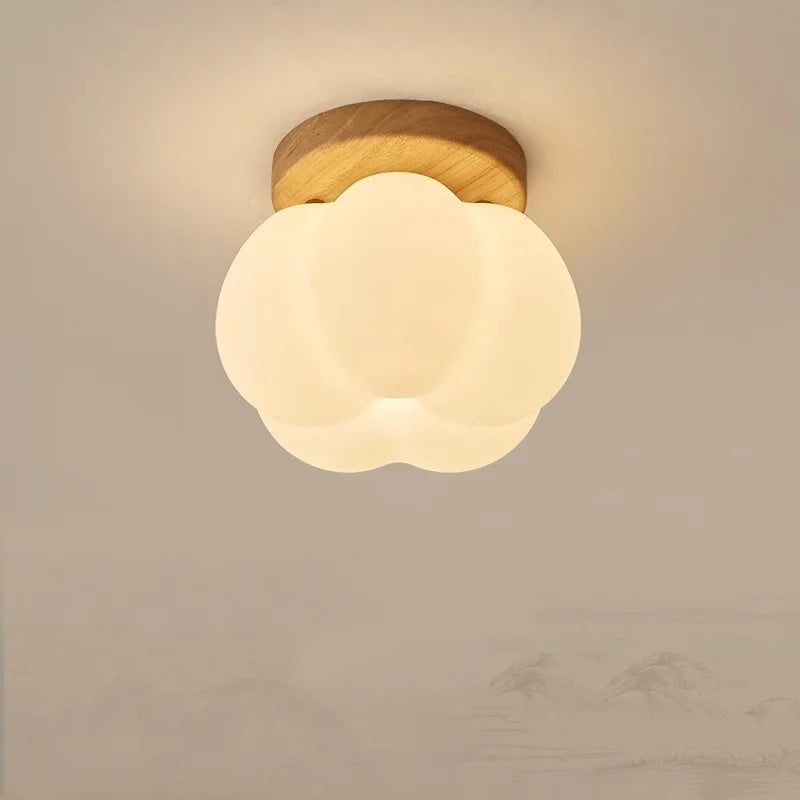 Axyaa Modern LED Ceiling Light for Indoor Lighting - Nordic Style Balcony Living Room Fixture