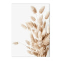 Axyaa Beige Dandelion Bunny Tail Grass Canvas Art Print Nordic Flower Poster