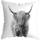 Axyaa Highland Cat Cow Yak Animal Pillowcase for Stylish Home Decor