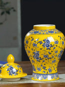 Axyaa Blue & White Porcelain Vase for Home Decor with Dracaena Sanderiana
