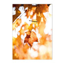 Autumn Forest Squirrel Landscape Canvas Wall Art Print Home Decor by Axyaa