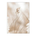 Axyaa Beach Shell Landscape Canvas Art Print for Nordic Living Room Decor