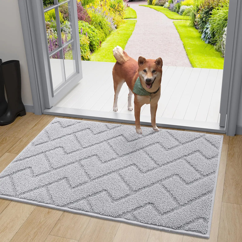 Axyaa Front Entry Indoor Doormat - Washable Non-Slip Absorbent Resist Dirt Mat