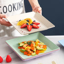 Axyaa Eco-Friendly Wheat Straw Plates Lightweight Unbreakable Microwavable Dinner Plate