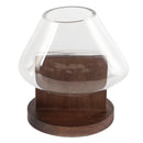 Axyaa Glass Vase Fluid Abstract Terrarium Home Decoration
