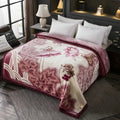 Axyaa Double Thickened Raschel Blanket for Winter Warmth