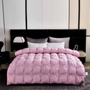 Axyaa Winter White Goose Down Comforter 3D Quilted Luxury Fluffy Cotton Shell Quilt