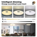 Axyaa Smart RGB Music Ceiling Light - App Control LED Ambient Lamp