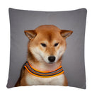 Axyaa Dog Art Print Polyester Cushion Cover for Home Sofa Car Decor