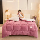 Axyaa Double-Sided Milk Wool Lamb Wool Warm Thick Winter Quilt Core