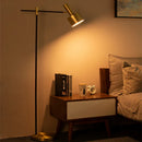 Axyaa Nordic Black/Gold Floor Lamp for Living Room, Bedroom, and Home Decor