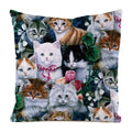 Colorful Cute Cats Pillow Case Set by Axyaa - Home Decor 40x40 45x45
