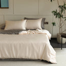Axyaa Silk Duvet Cover - Double-Sided Luxury 100% Mulberry Silk Quilt Cover
