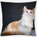 Cute Cat Series Pillowcase for Home Decor by Axyaa
