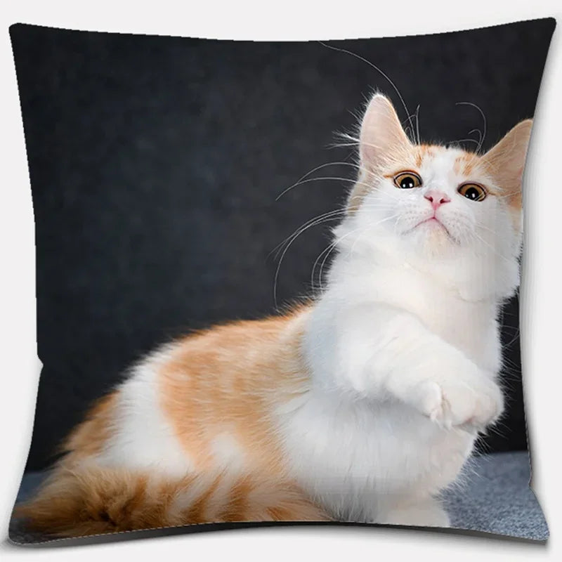 Cute Cat Series Pillowcase for Home Decor by Axyaa