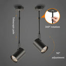 Axyaa Long Pole Telescopic LED Spot Light for Ceiling Mount in Shops & Galleries