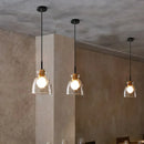 Clear Glass Pendant Light | Axyaa Glass Pendant Lamp for Indoor Decor