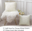 Axyaa Soft Faux Fur Velvet 18x18 Decorative Throw Pillow Covers