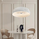 Axyaa Resin Pendant Lights for Modern Living Room, Kitchen, Office, and Home Decor