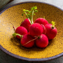 Axya Ceramic Ramen Bowl Set:  Vintage Fruit Salad Plates & Soup Bowls for Dining