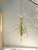 Axyaa Gold Suncatcher Air Plant Holder with Crystal Home Decor