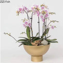 Axyaa Golden Metal Vase: Minimalist Round Plant Pot for Room Aesthetic Decor