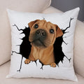 Axyaa Cute Dog Print Pillow Case for Home Decor and Comfort
