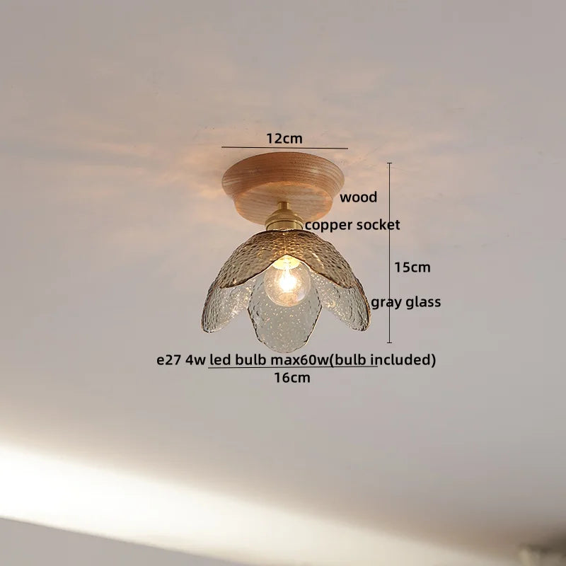 Nordic Modern Axyaa Glass LED Ceiling Lamp for Home Restaurant Balcony Lighting
